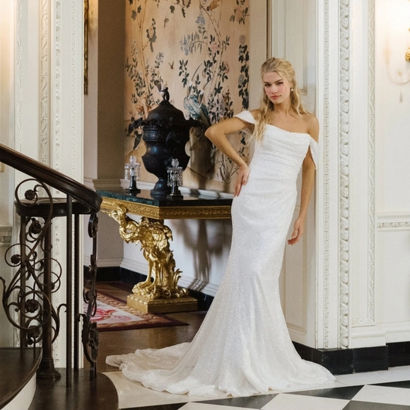 ANNE BARGE BLUE WILLOW ROTHSCHILD WEDDING DRESS - Picture 3 of 6